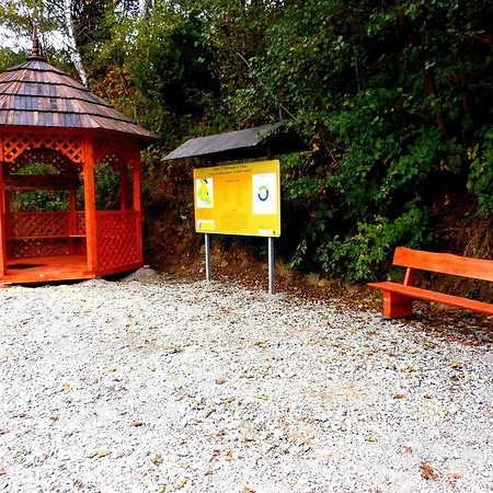 Alloggio in famiglia Kama