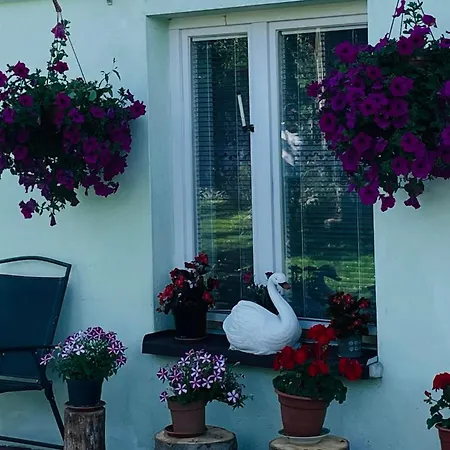 Kama Alloggio in famiglia *