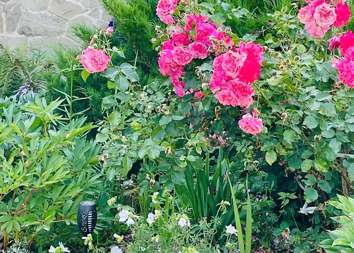 Kama Habitación en casa particular Tylicz